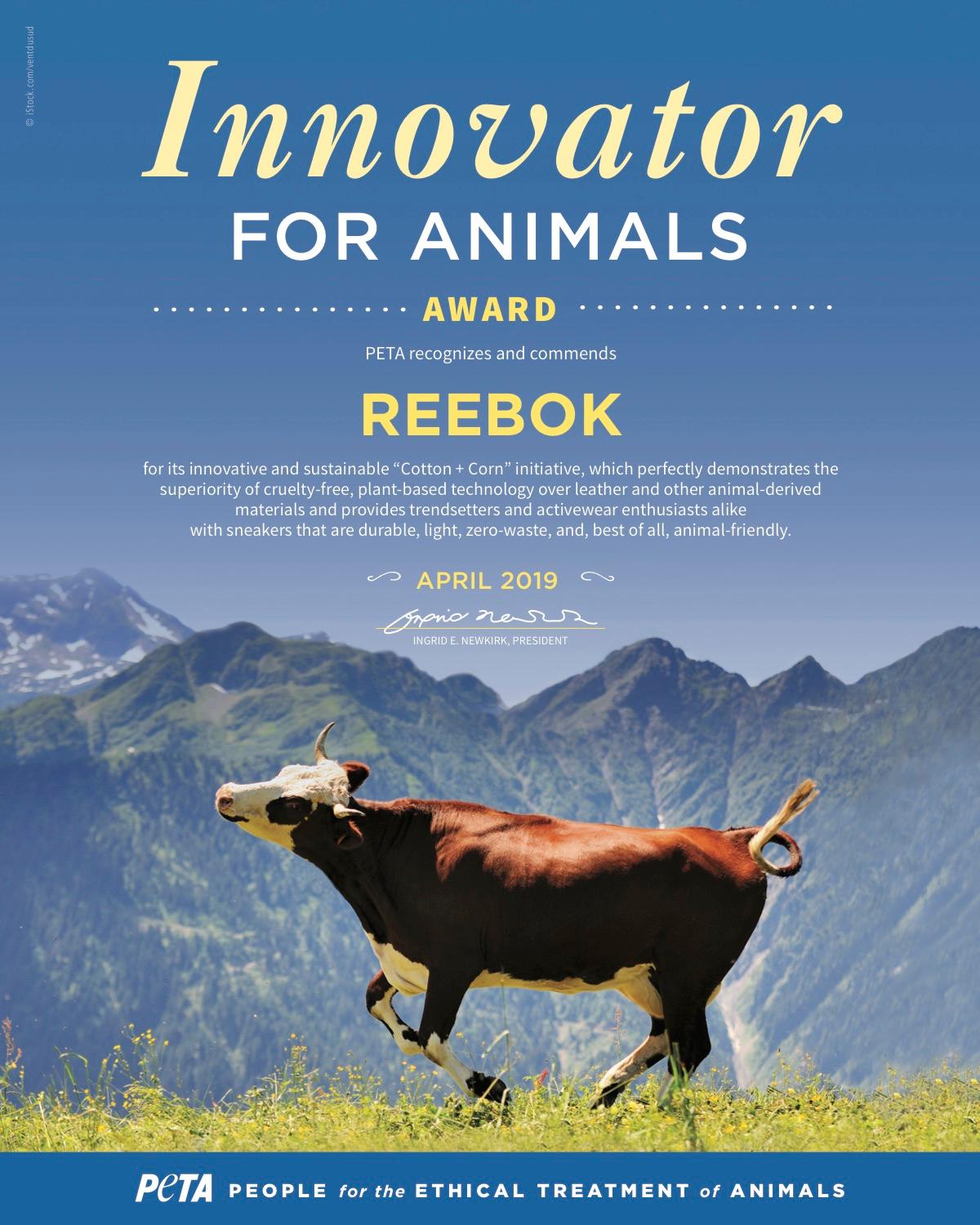 Reebok Innovator for Animals