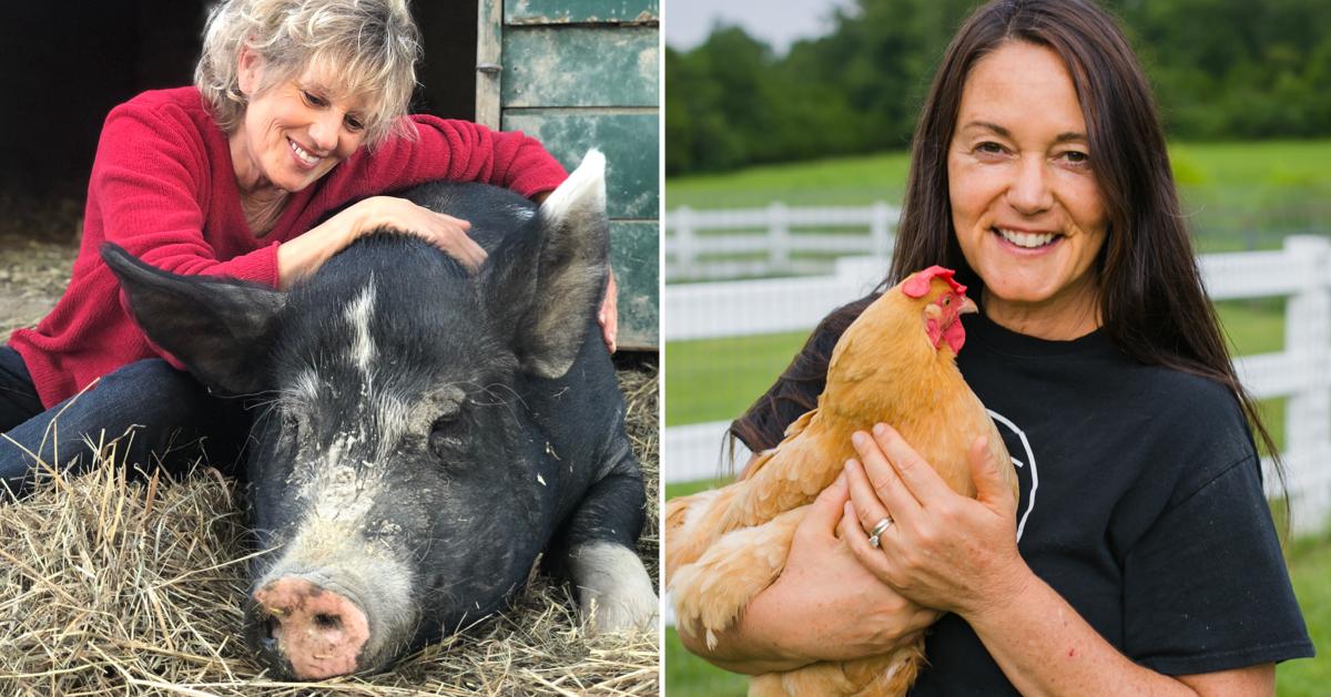 How to Start an Animal Sanctuary 