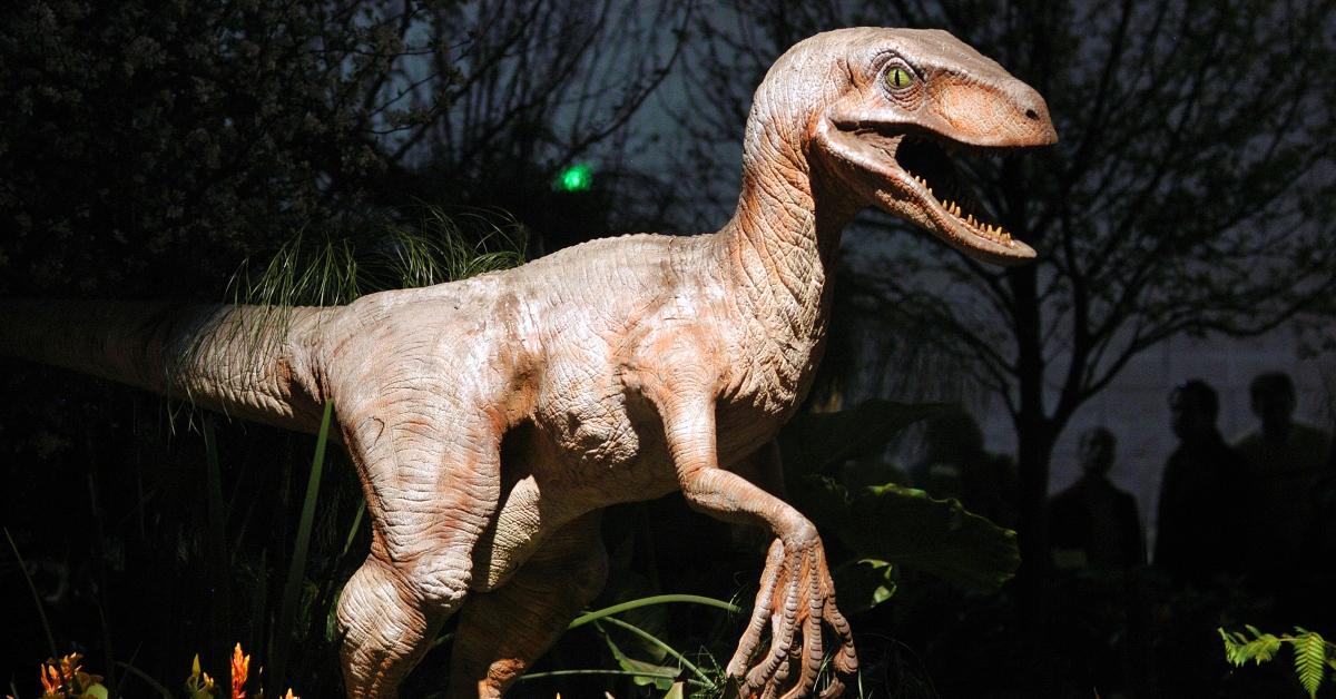 A replica dinosaur.