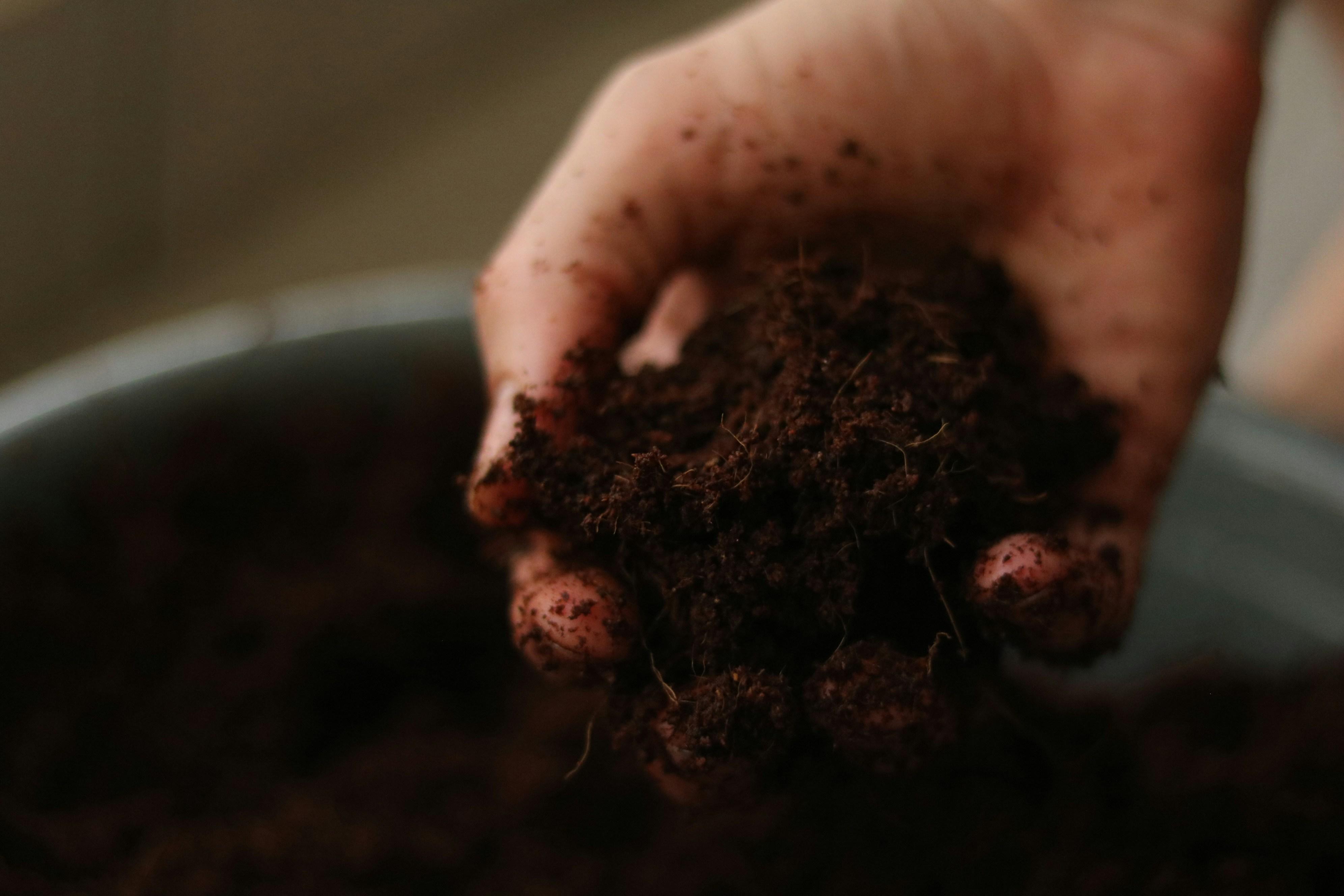 A person's hand holds soil above a large pot.