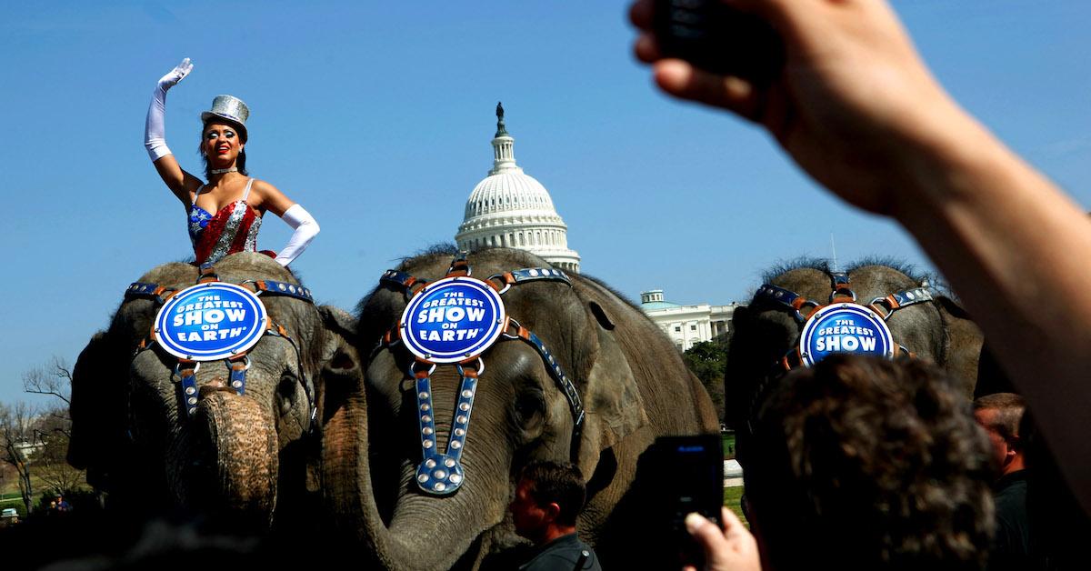 Circus performer on a Ringling Bros. elephant in front of the U.S. Capitol