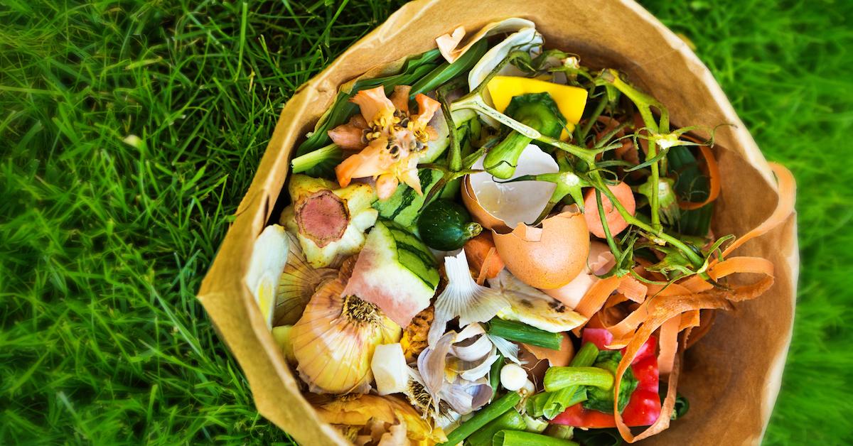 compost bin