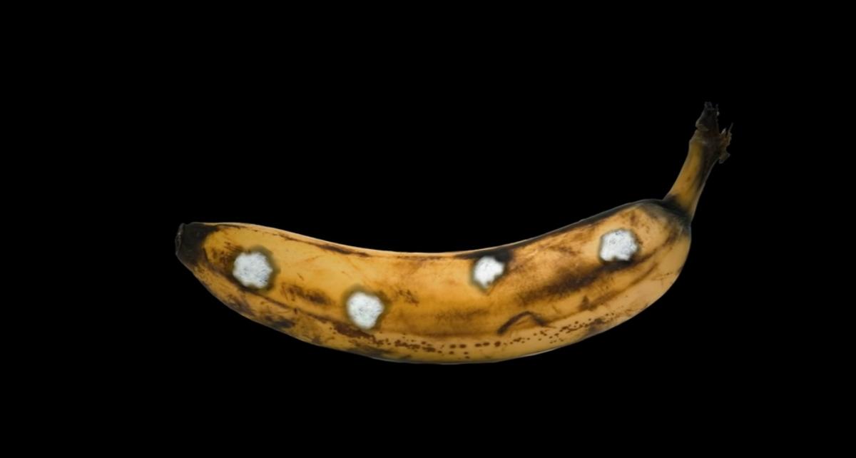 banana with white spots on a black background
