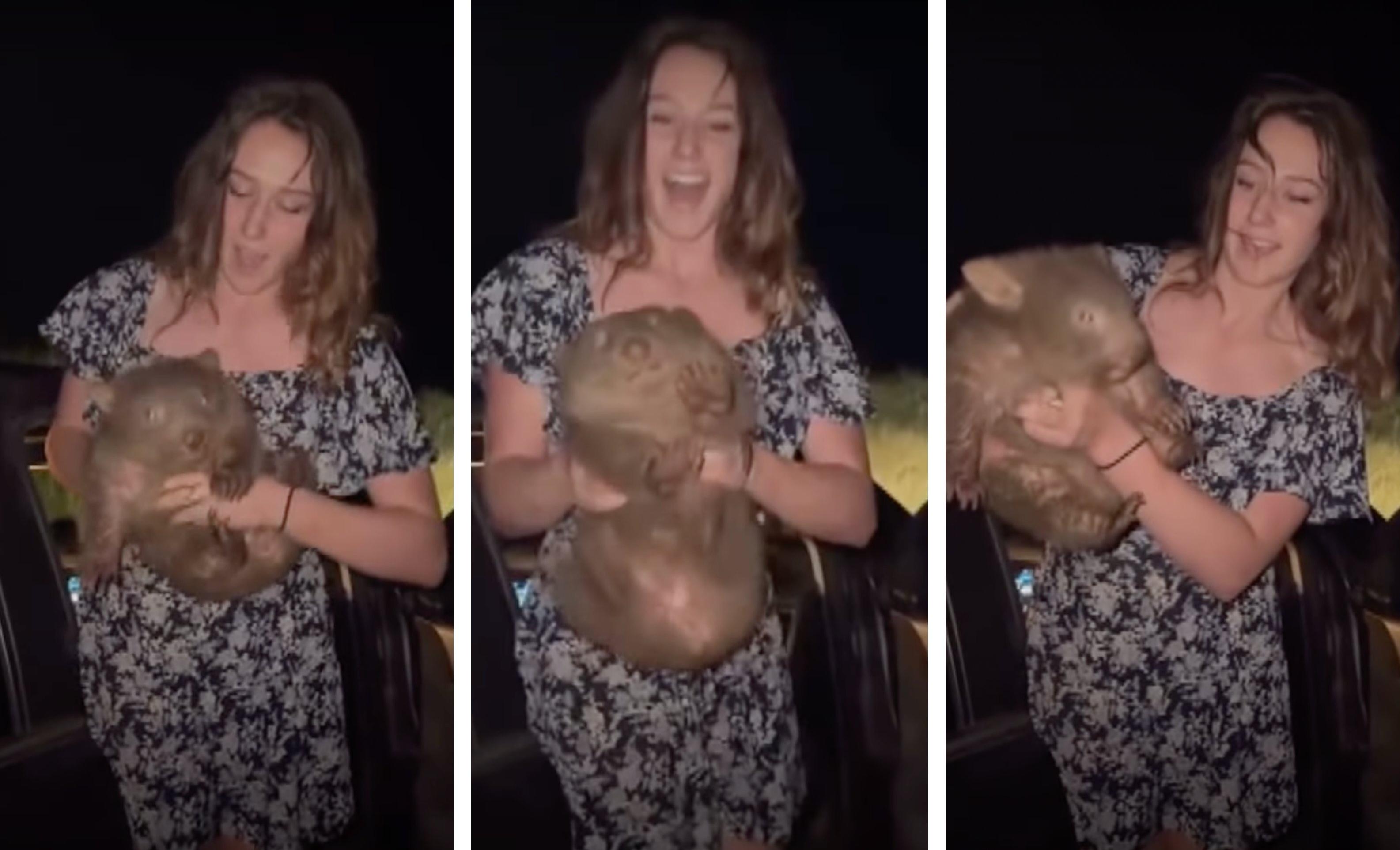 Three slides depict U.S. influencer Sam Jones mishandling and abusing a baby wombat.