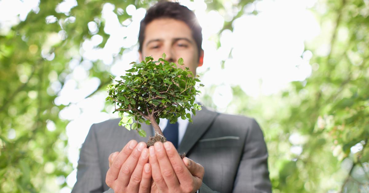 what is eco consulting