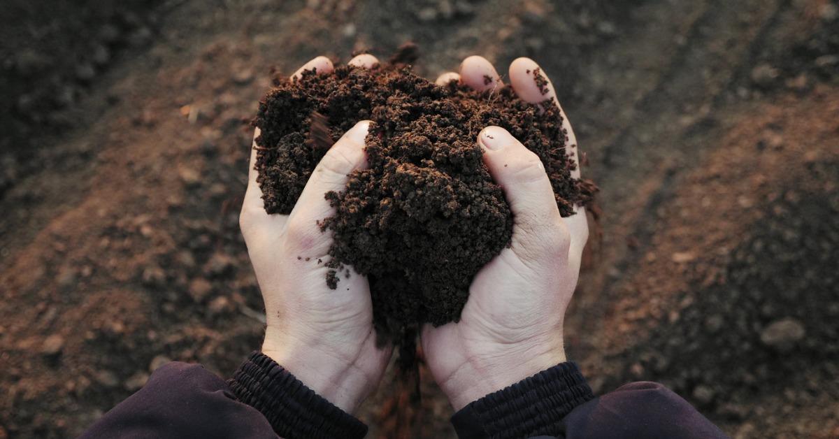 how to prepare soil for gardening