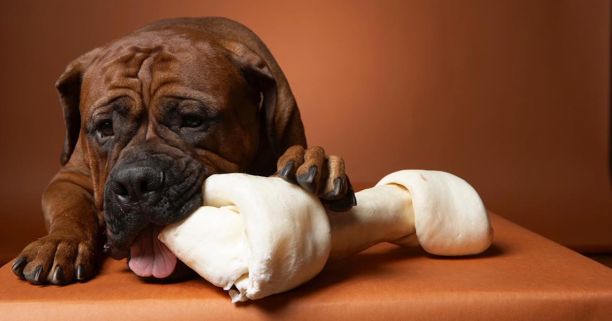 Rawhide