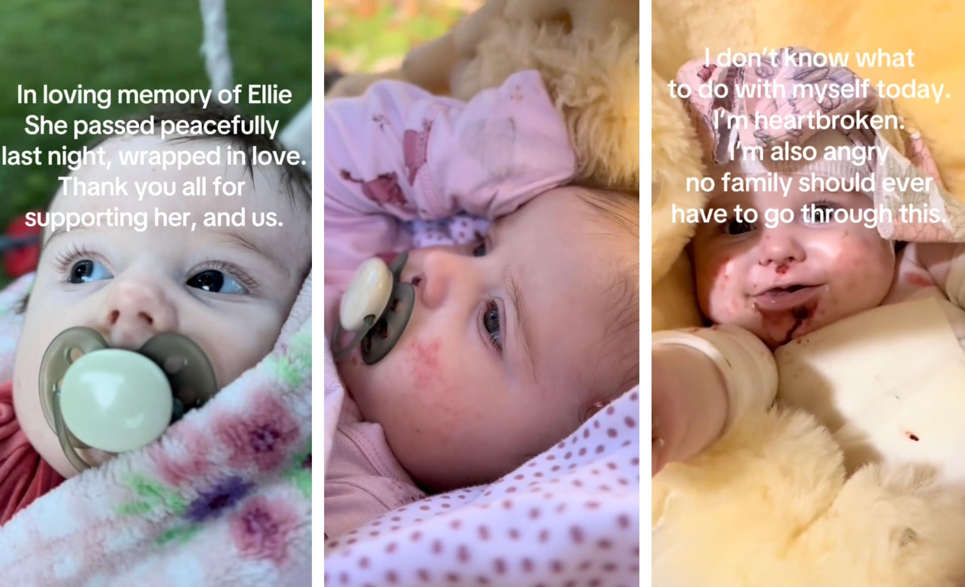 Three screenshots depict the memorial post for the recently deceased Elliana Rose.