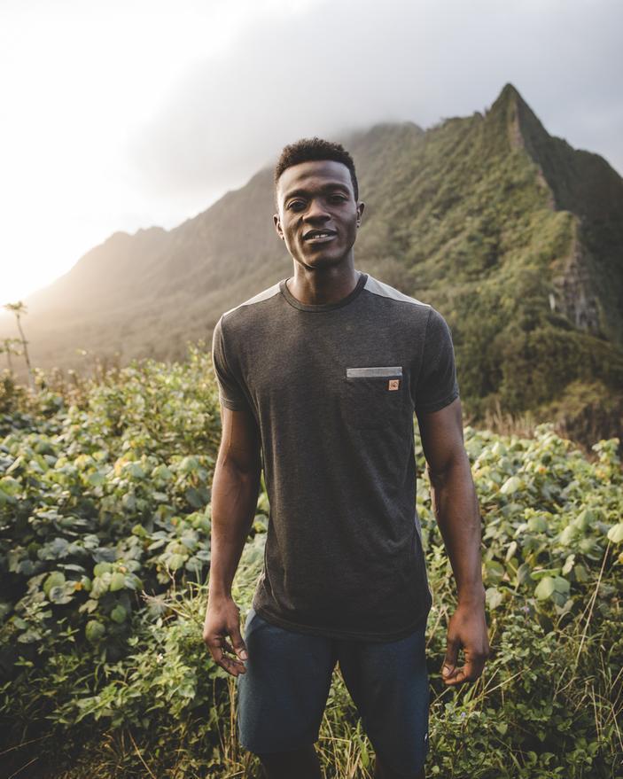 tentree apparel sustainable green matters